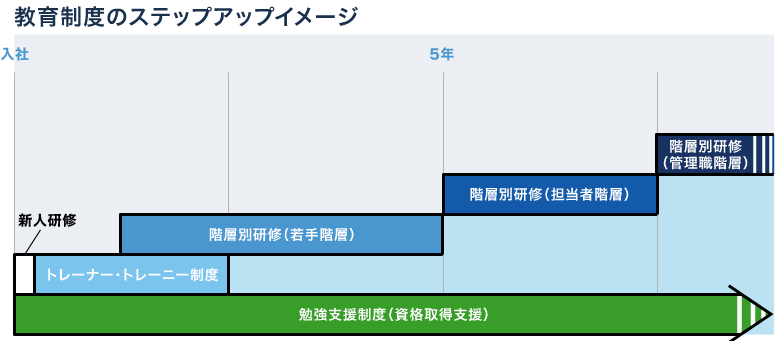 教育制度のステップアップイメージ